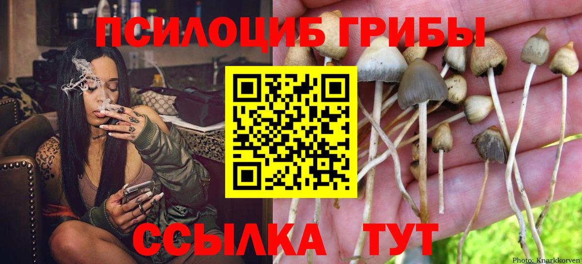 Кимовск  Псилоцибиновые грибы мухоморы  Вход с VPN 